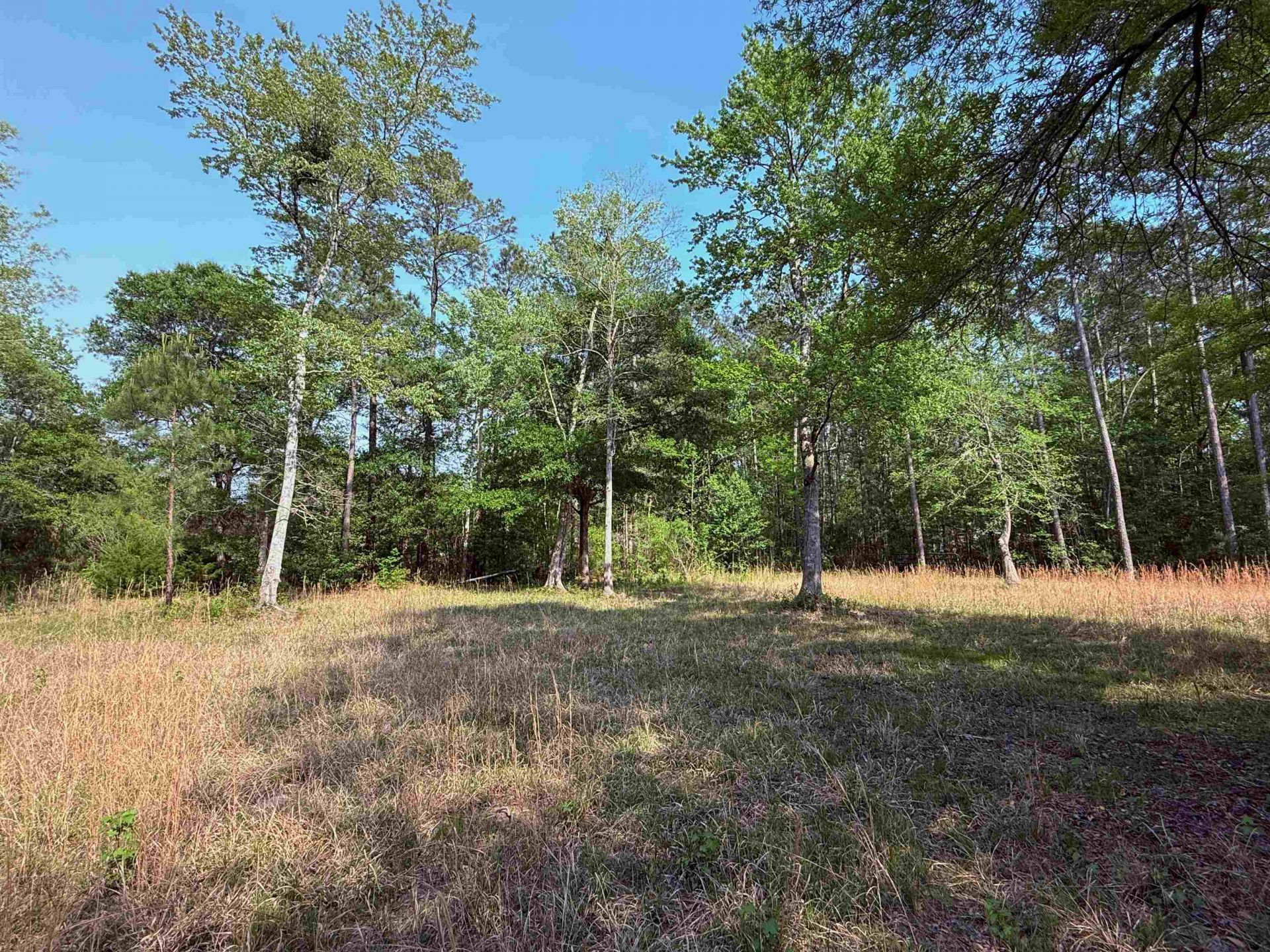 2400 Sunny Heights Rd. Photo 10