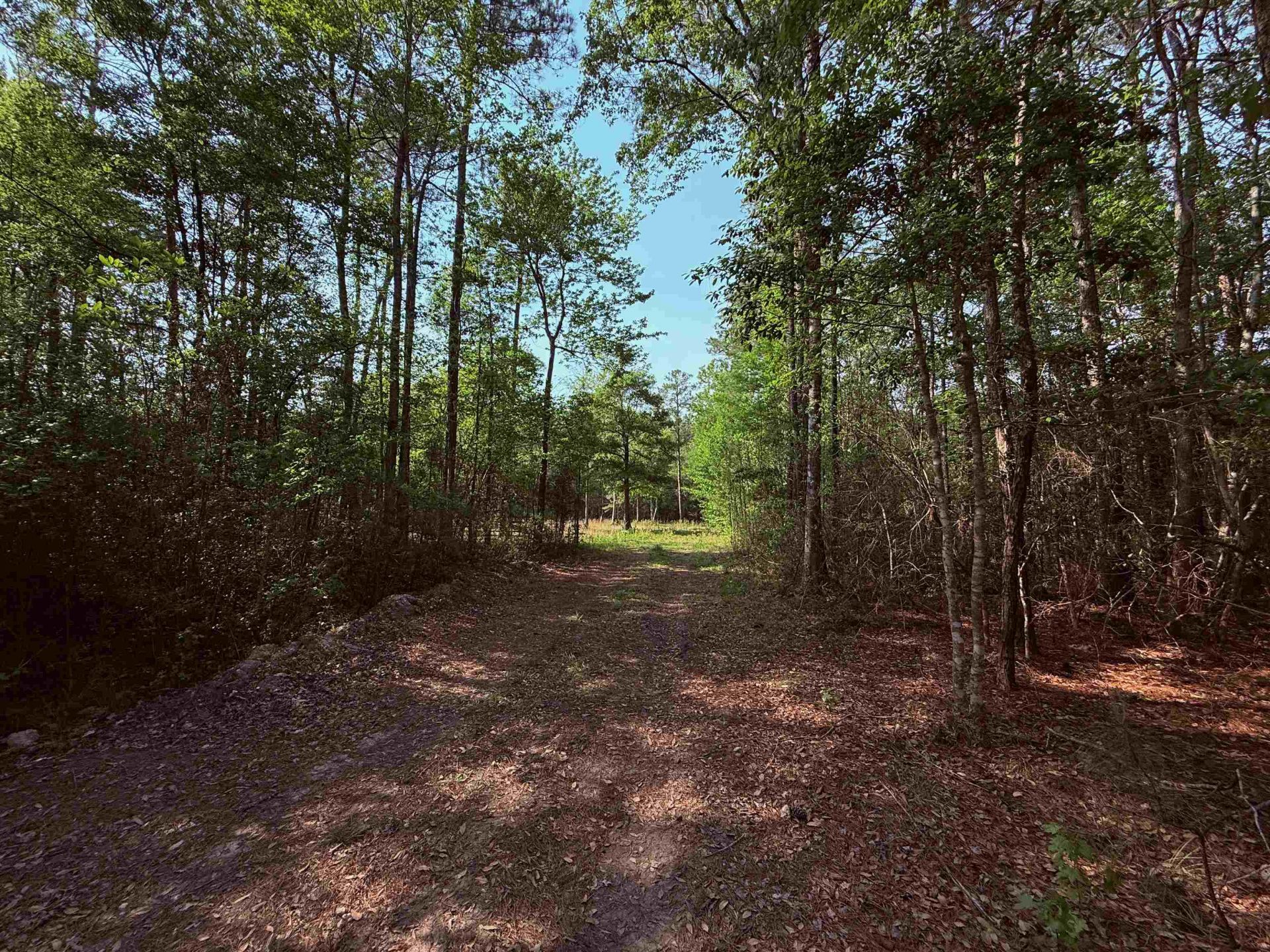 2400 Sunny Heights Rd. Photo 4