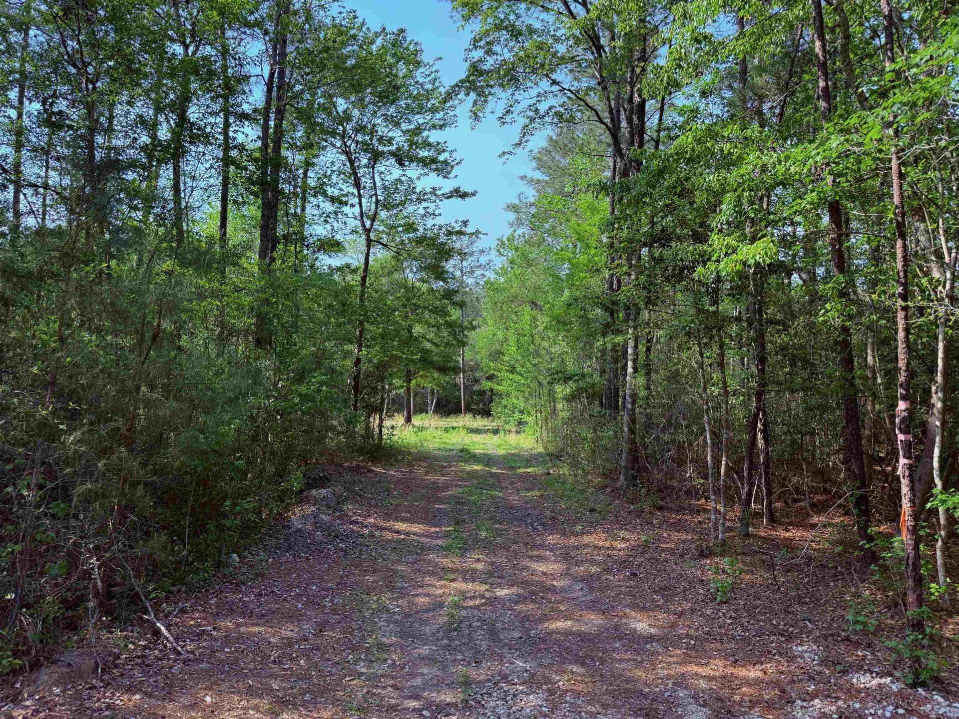 2400 Sunny Heights Rd. Photo 5