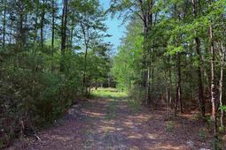 2400 Sunny Heights Rd. photo 4