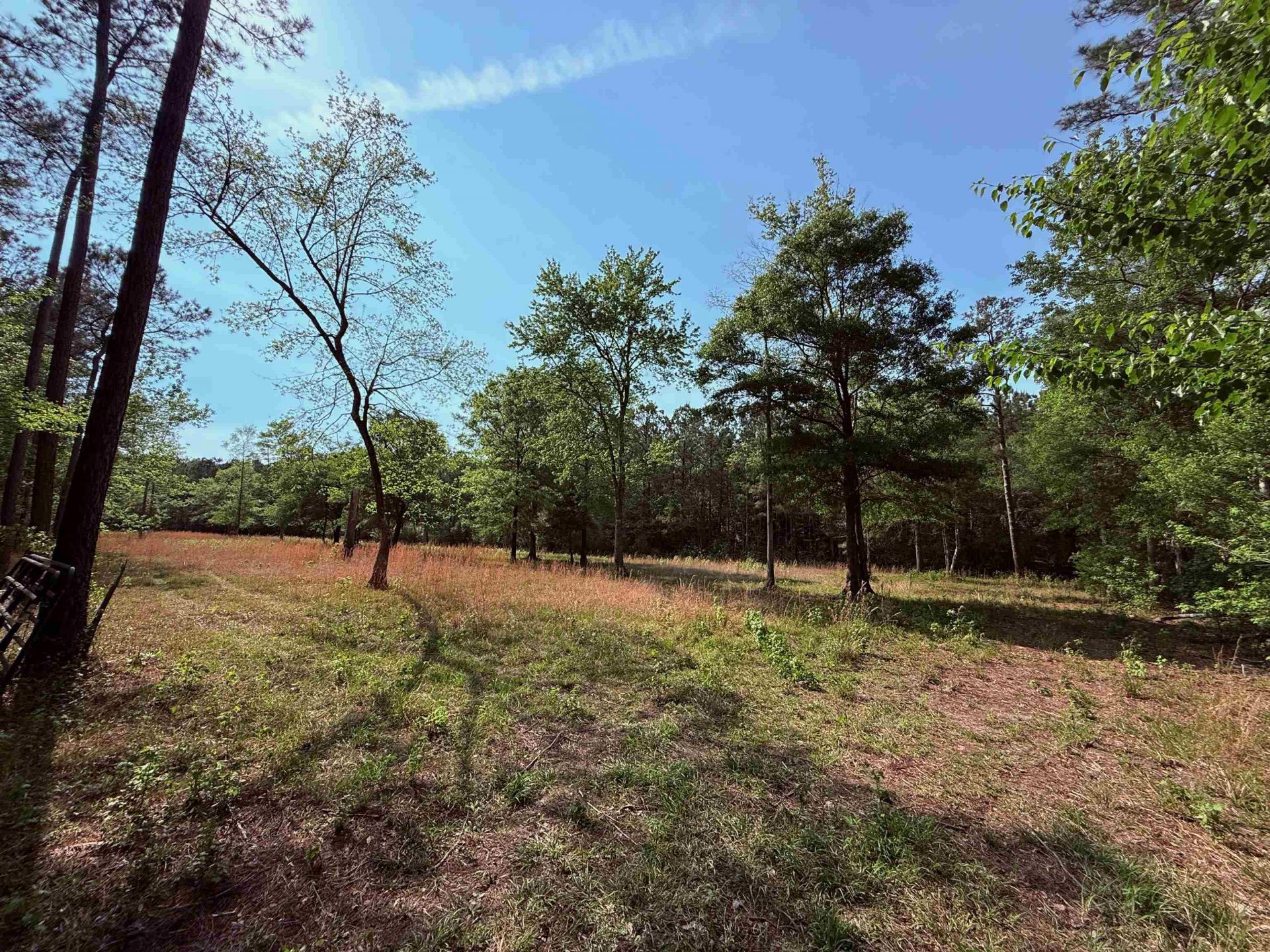 2400 Sunny Heights Rd. Photo 6