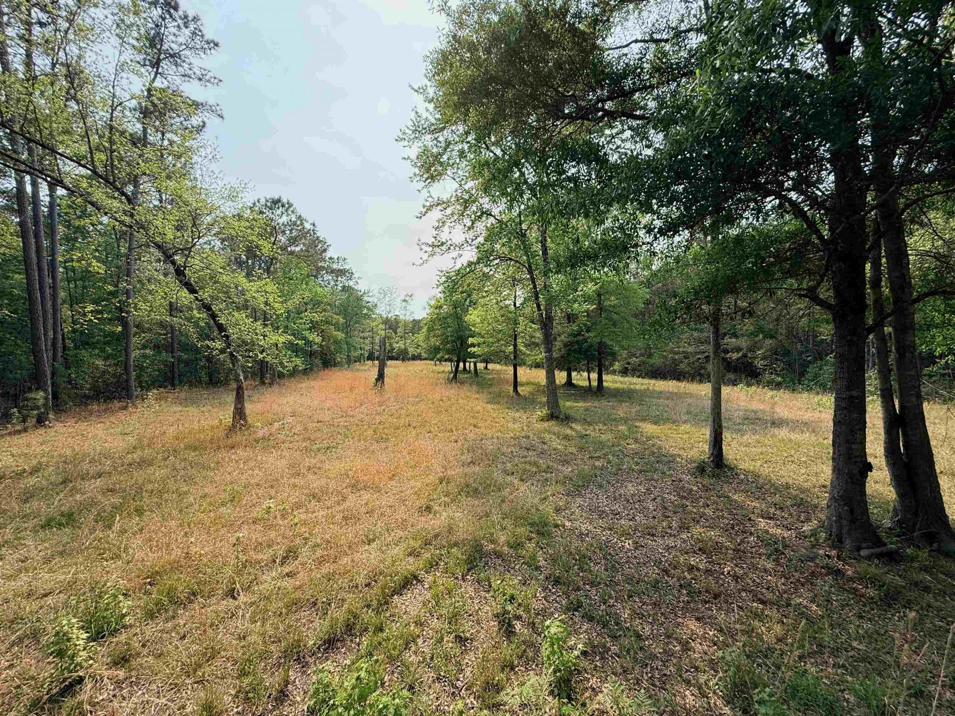 2400 Sunny Heights Rd. Photo 7
