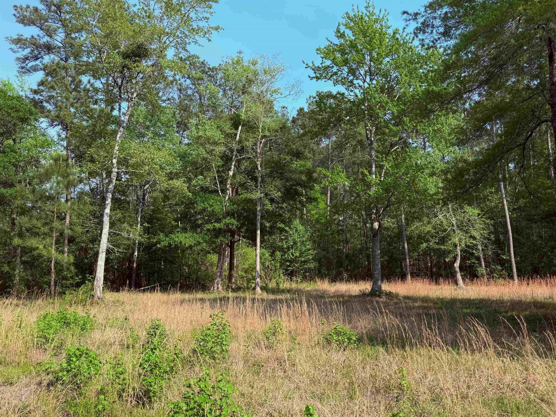 2400 Sunny Heights Rd. Photo 8