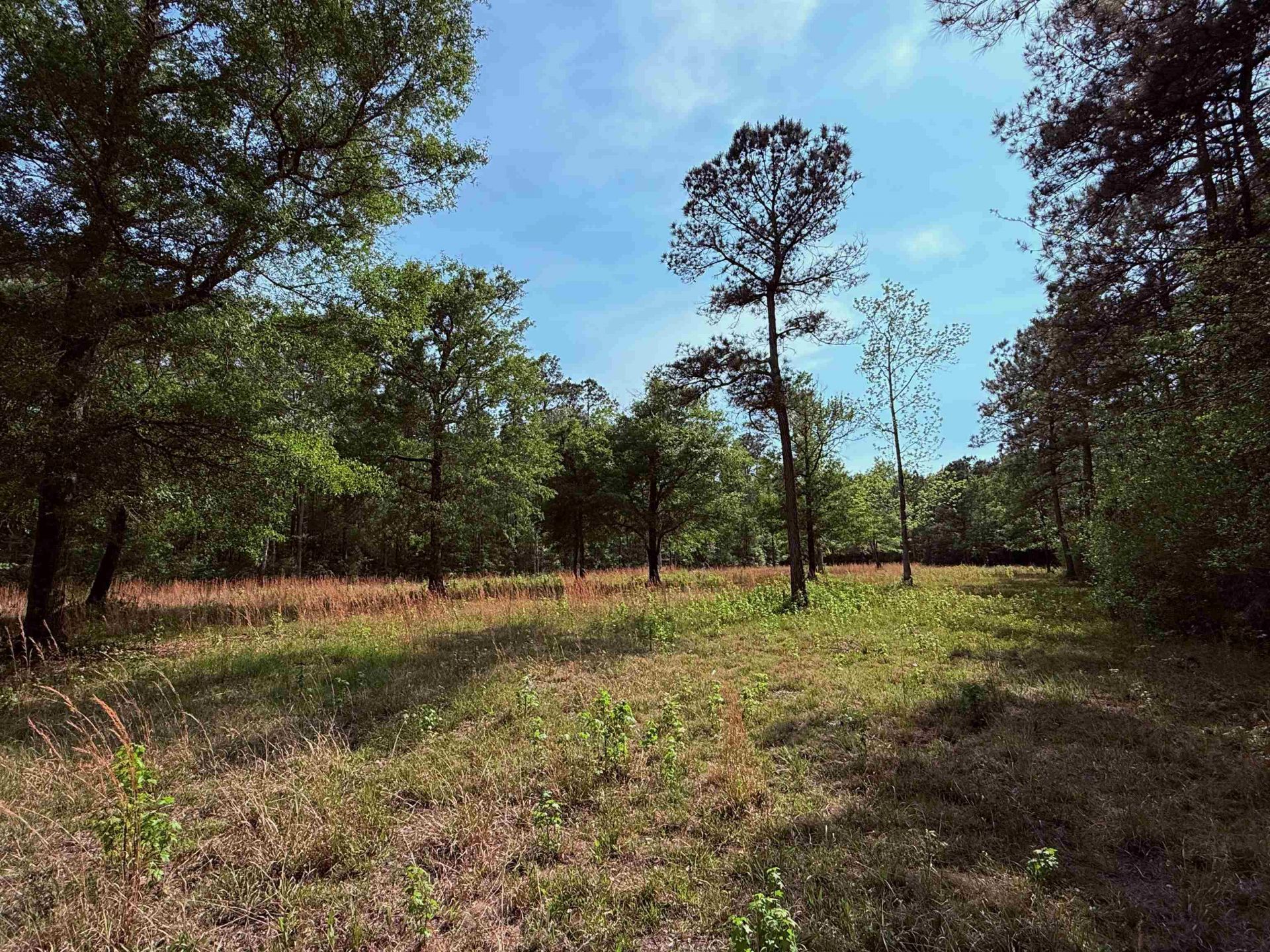 2400 Sunny Heights Rd. Photo 9