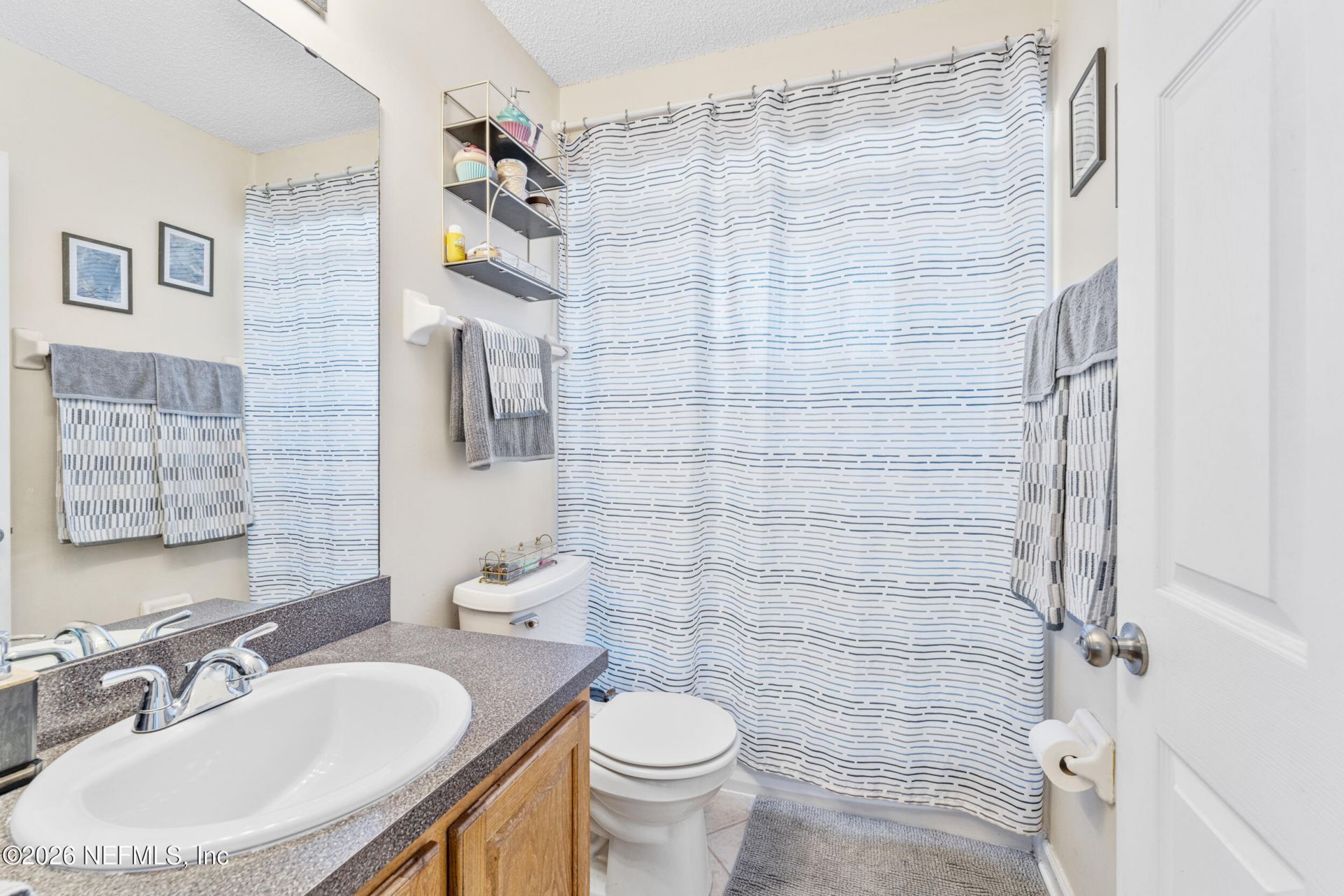 3910 Selig Court, Middleburg, FL 32068 Photo