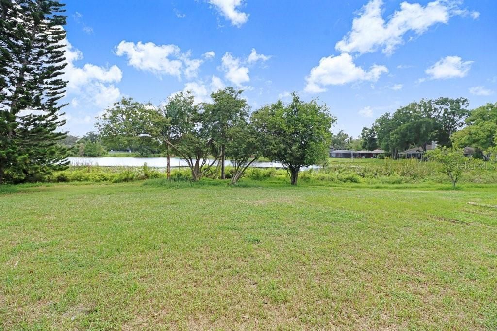 1350 Eckles Drive, Tampa, FL 33612 Photo