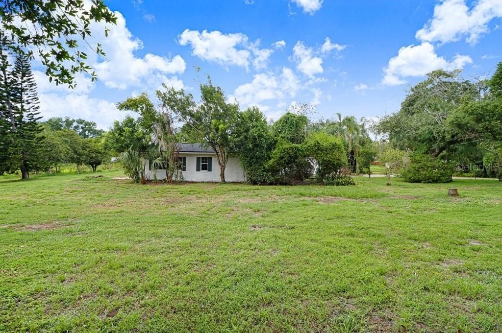 1350 Eckles Drive, Tampa, FL 33612 Photo