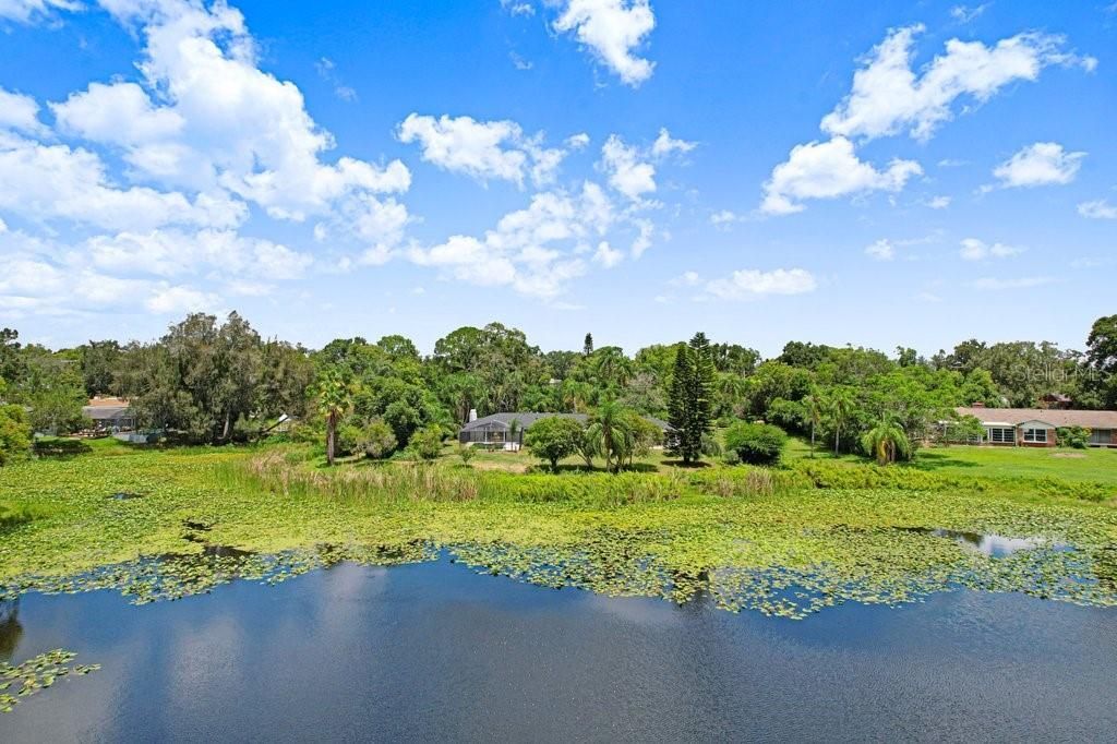 1350 Eckles Drive, Tampa, FL 33612 Photo