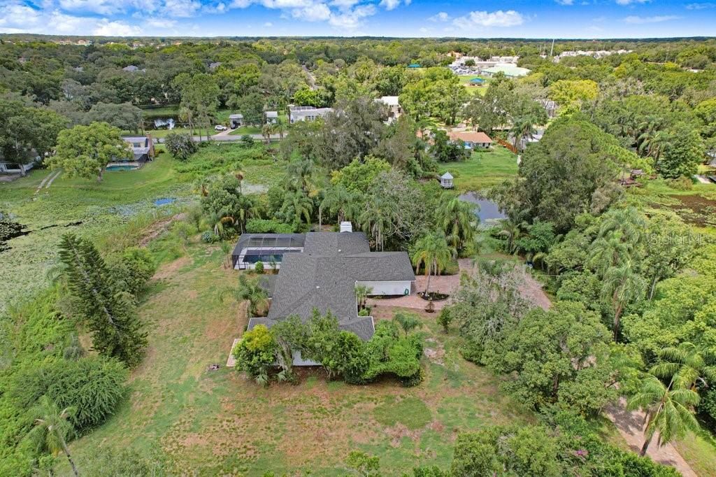 1350 Eckles Drive, Tampa, FL 33612 Photo