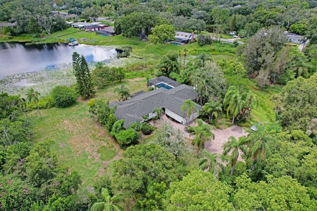 1350 Eckles Drive, Tampa, FL 33612 Photo