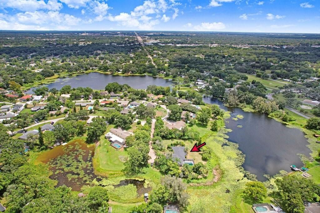 1350 Eckles Drive, Tampa, FL 33612 Photo