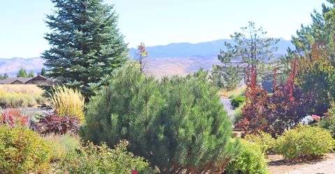 201 S Argyle Court, Reno, NV 89511 Photo