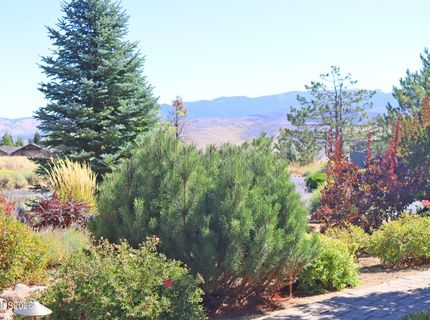201 S Argyle Court, Reno, NV 89511 Photo