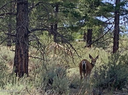 201 S Argyle Court, Reno, NV 89511 Photo