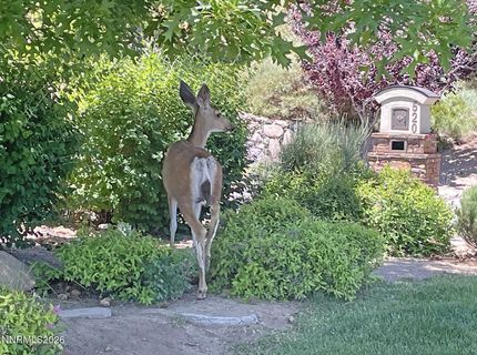 201 S Argyle Court, Reno, NV 89511 Photo