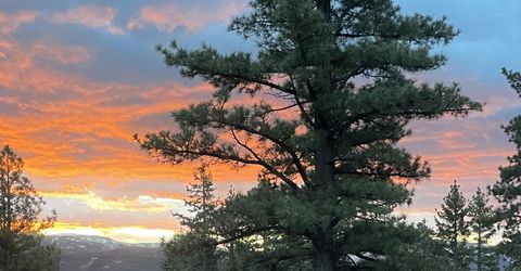 201 S Argyle Court, Reno, NV 89511 Photo