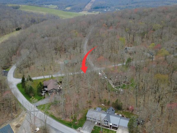 TBD Anemone Lane, Terra Alta, WV 26764