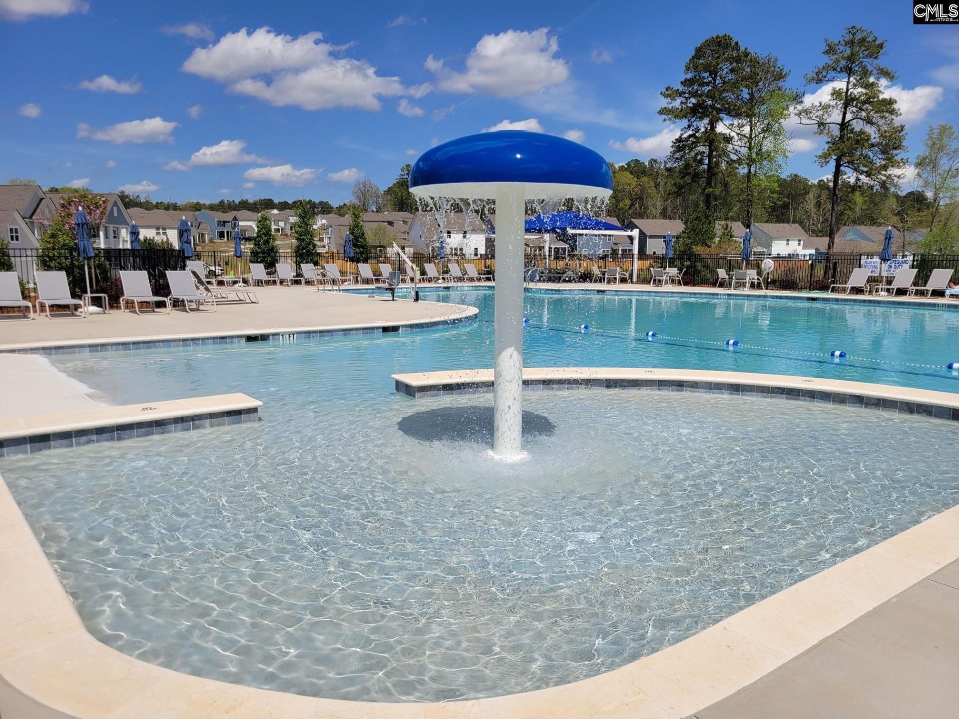 434 Edith Court Photo 29