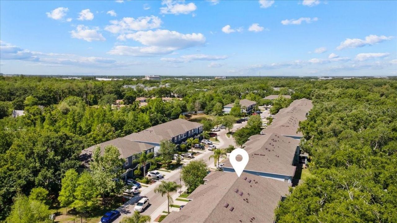 4445 Amberly Oaks Court, Tampa, FL 33614 Photo