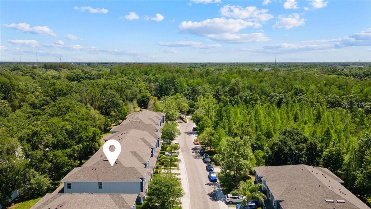 4445 Amberly Oaks Court, Tampa, FL 33614 Photo