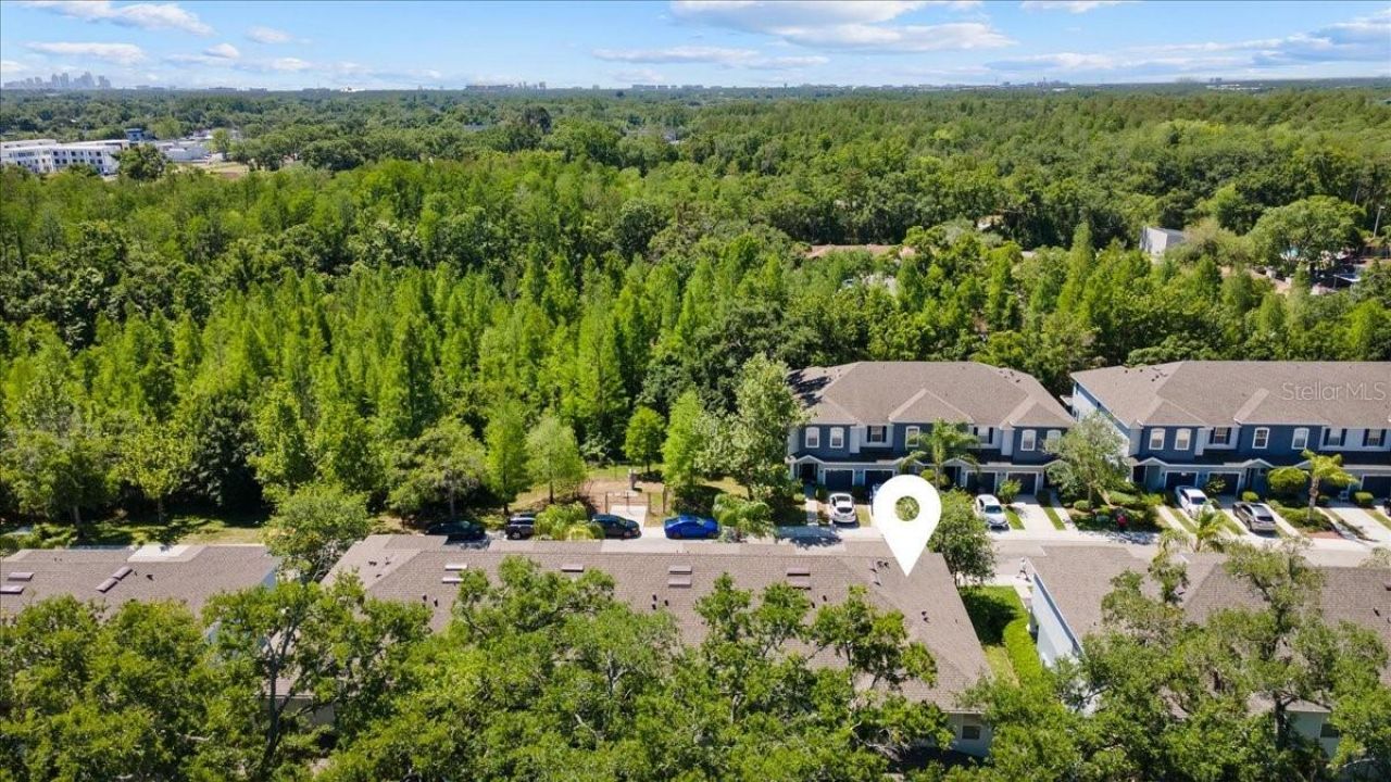 4445 Amberly Oaks Court, Tampa, FL 33614 Photo