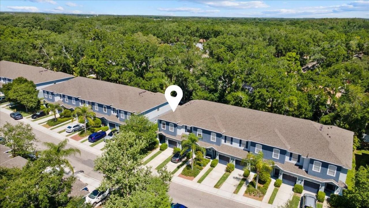 4445 Amberly Oaks Court, Tampa, FL 33614 Photo