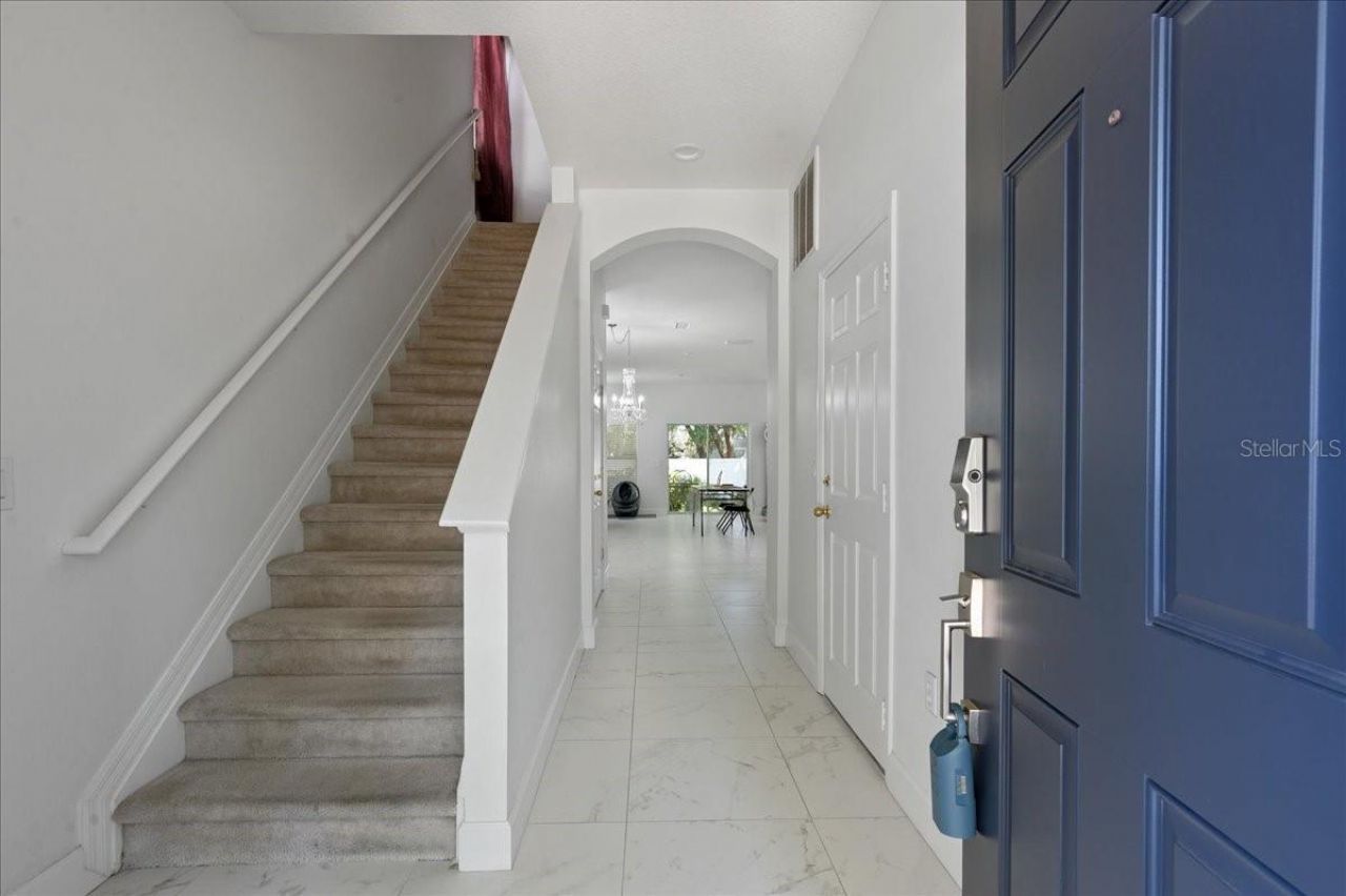 4445 Amberly Oaks Court, Tampa, FL 33614 Photo