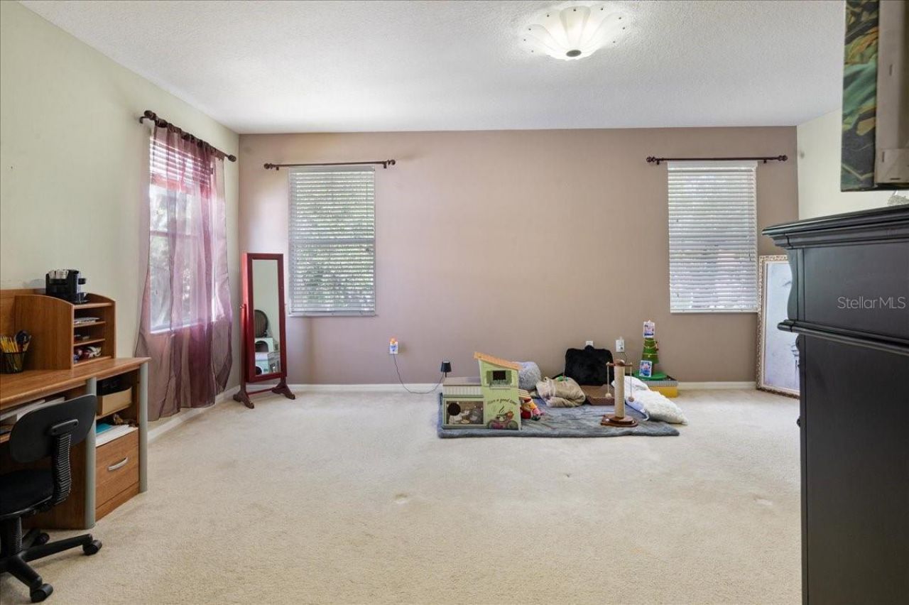 4445 Amberly Oaks Court, Tampa, FL 33614 Photo