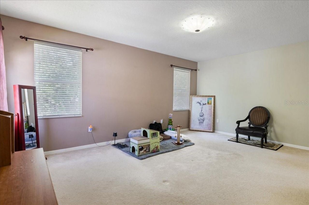 4445 Amberly Oaks Court, Tampa, FL 33614 Photo