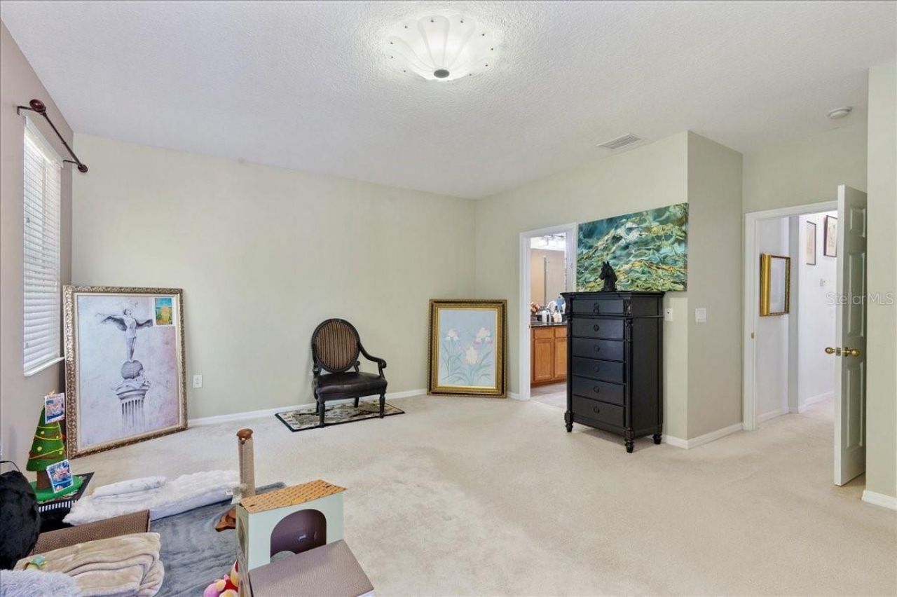 4445 Amberly Oaks Court, Tampa, FL 33614 Photo