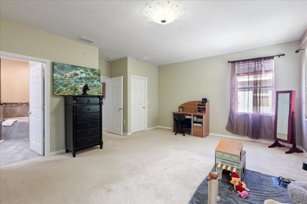 4445 Amberly Oaks Court, Tampa, FL 33614 Photo