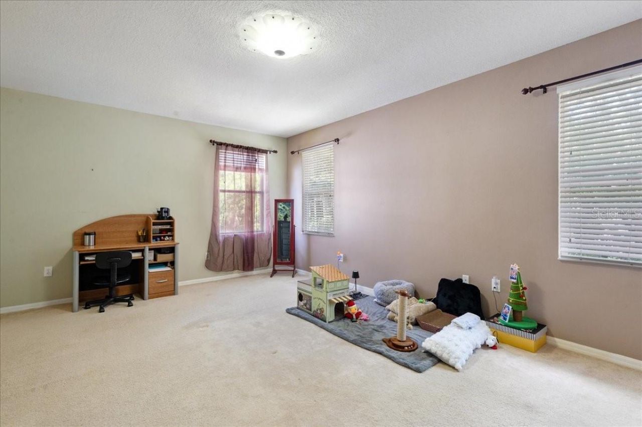 4445 Amberly Oaks Court, Tampa, FL 33614 Photo