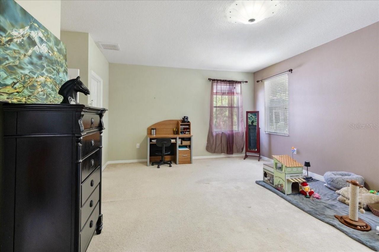 4445 Amberly Oaks Court, Tampa, FL 33614 Photo