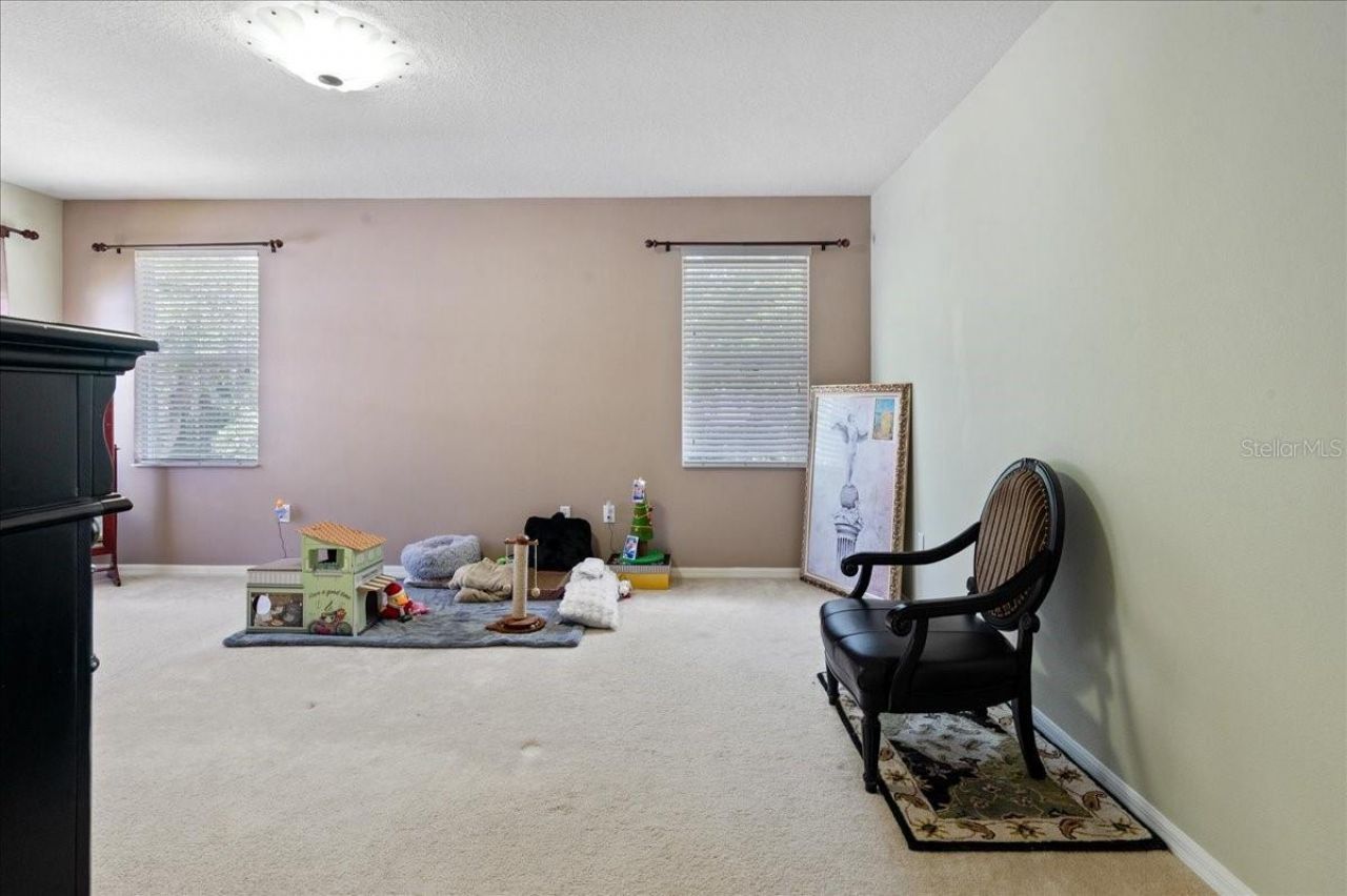 4445 Amberly Oaks Court, Tampa, FL 33614 Photo