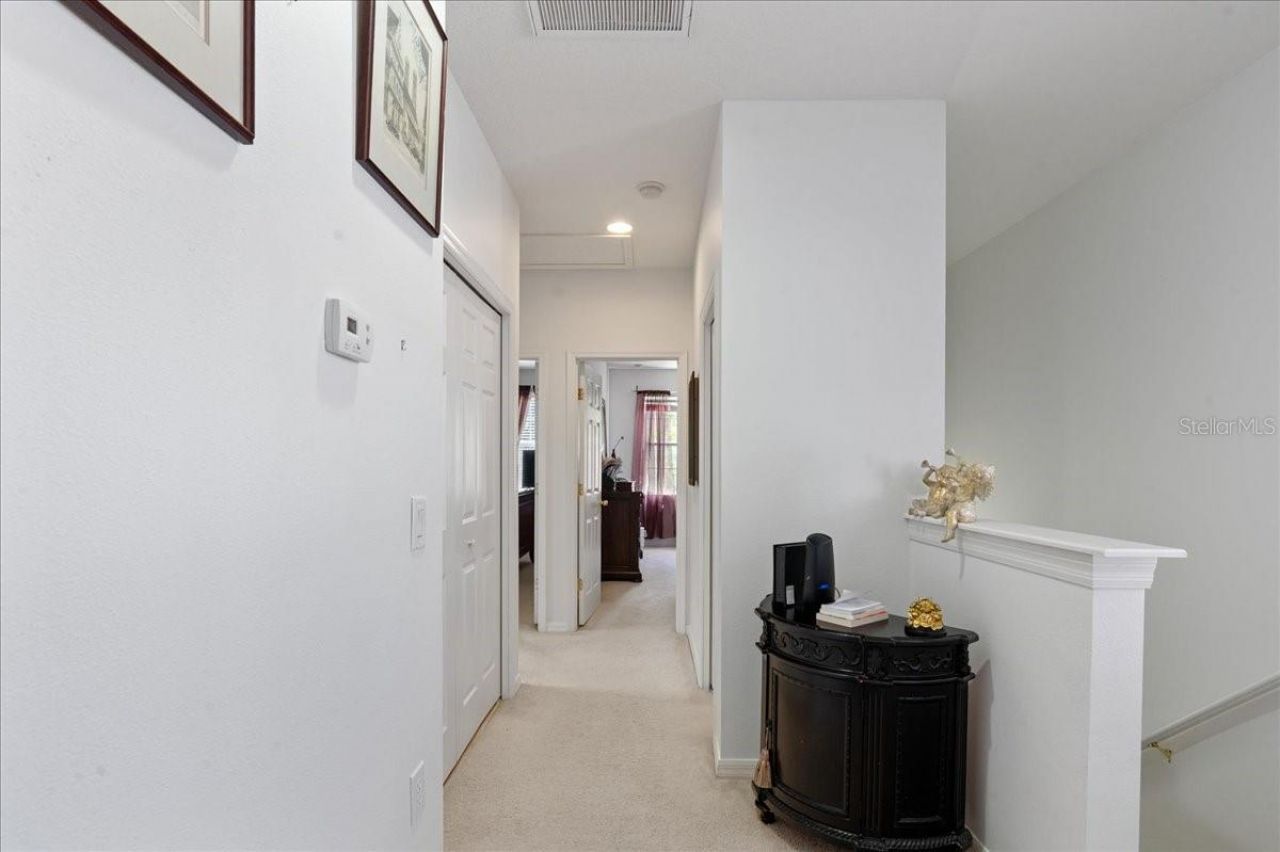 4445 Amberly Oaks Court, Tampa, FL 33614 Photo