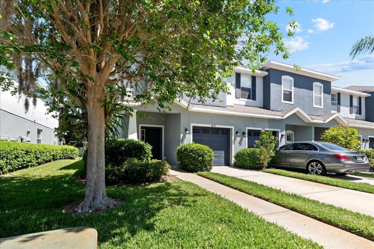 4445 Amberly Oaks Court, Tampa, FL 33614 Photo
