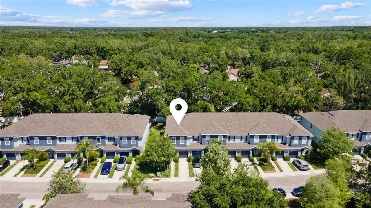 4445 Amberly Oaks Court, Tampa, FL 33614 Photo