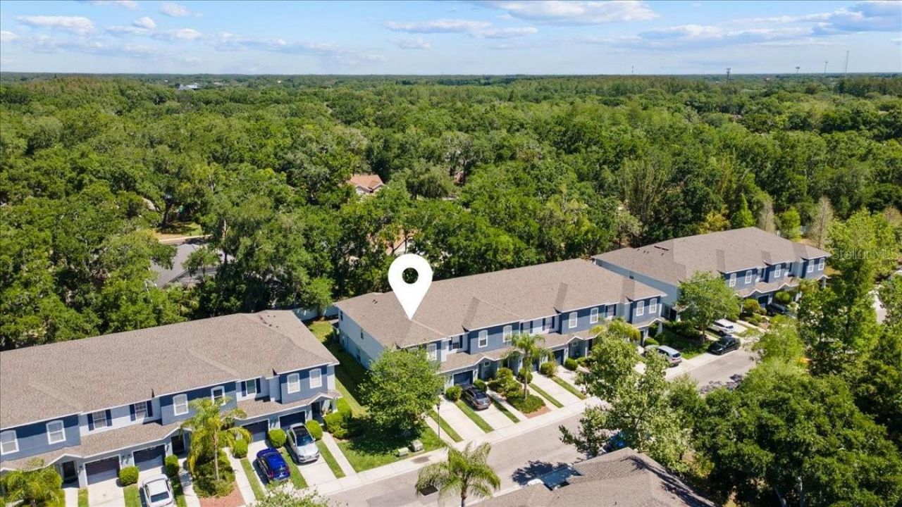 4445 Amberly Oaks Court, Tampa, FL 33614 Photo