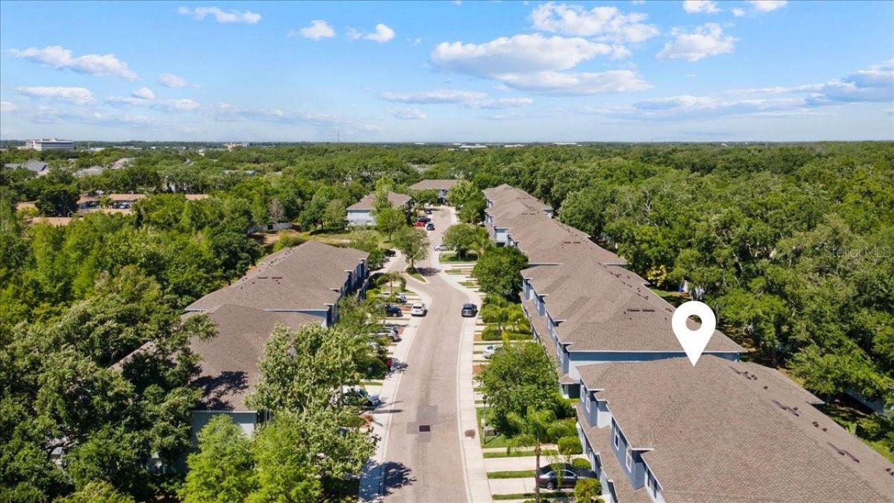4445 Amberly Oaks Court, Tampa, FL 33614 Photo
