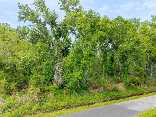 HICKMAN AVENUE , PLANT CITY, FL 33563