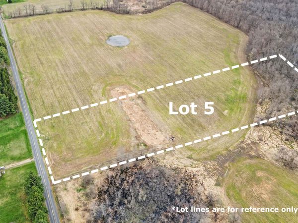Lot 5 S 2nd Street, Schoolcraft, MI 49087