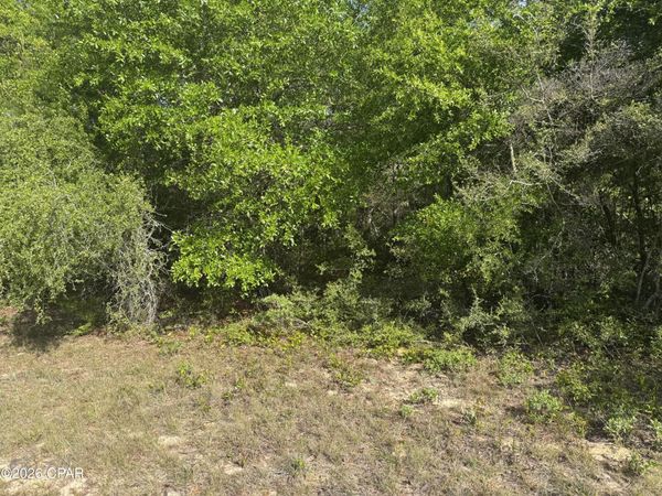 0000 Devonshire Drive , Chipley, FL 32428