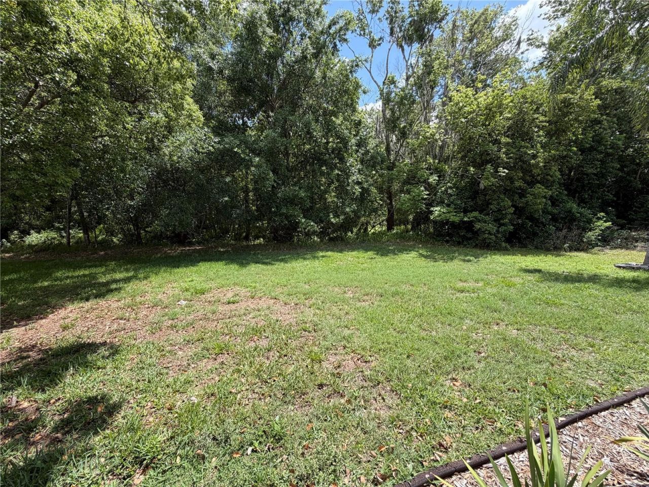 1616 Kinsmere Drive , Trinity, FL 34655 Photo