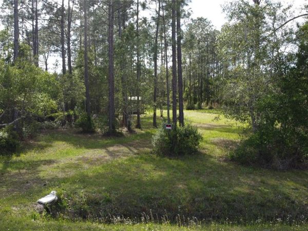 10205 BAYLOR AVENUE , HASTINGS, FL 32145