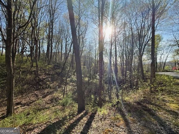 0 Thunderhead, Sky Valley, GA 30537