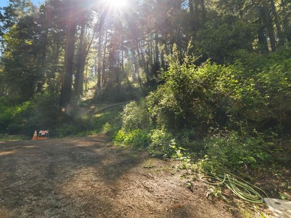 146 Starview Place, Boulder Creek, CA 95006