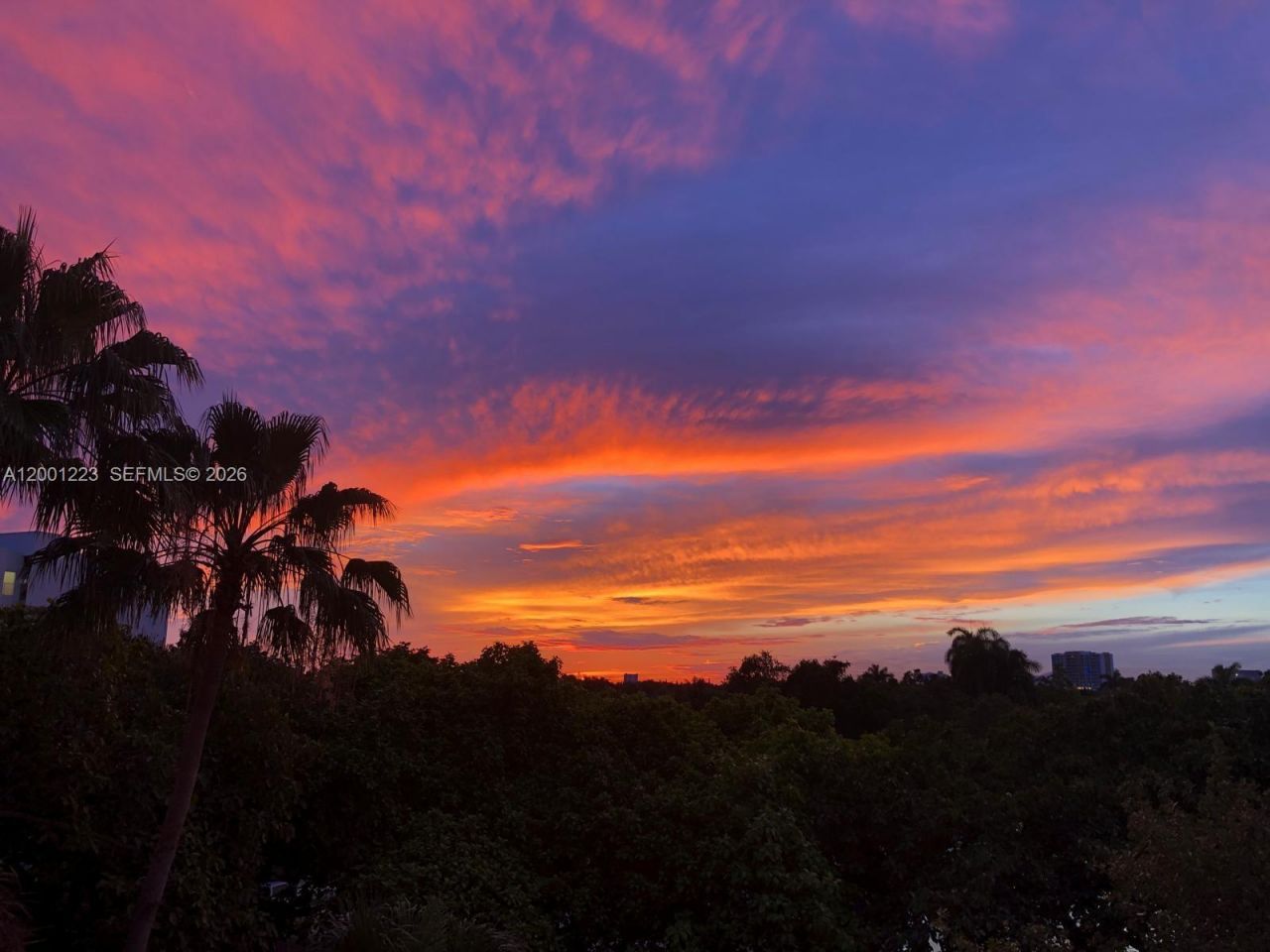 280 SW 20th Rd, Unit 504, Miami, FL 33129 Photo