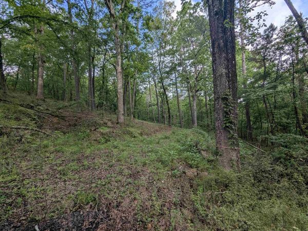 xxx LEEMAR Place, Hot Springs, AR 71901