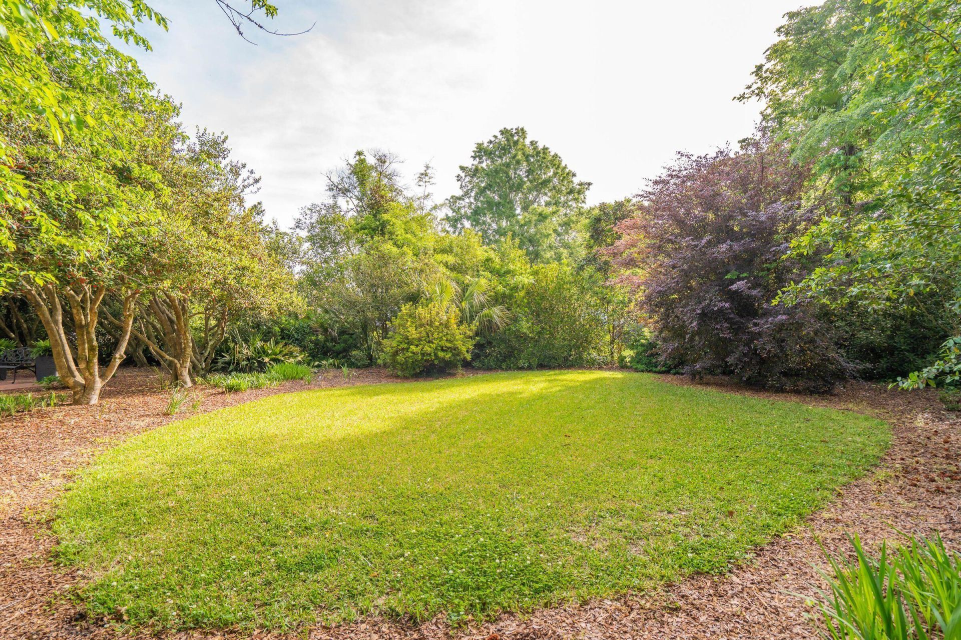 317 Sumter Avenue Photo 102