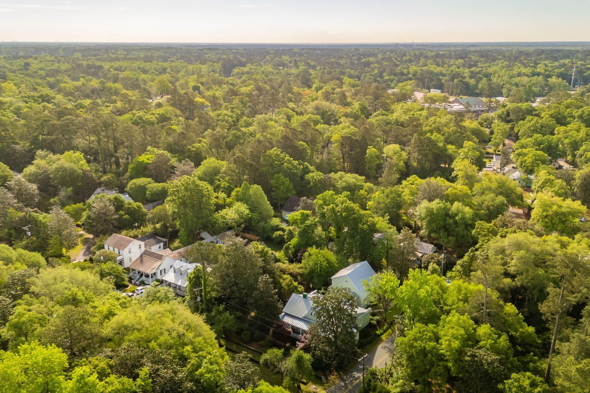 317 Sumter Avenue Photo 125